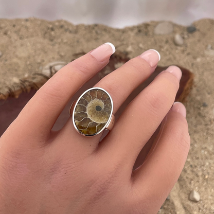 Bague ammonite en argent taille 58 