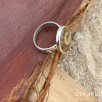 Bague ammonite en argent taille 58 