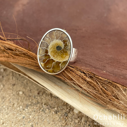 Bague ammonite en argent taille 58 