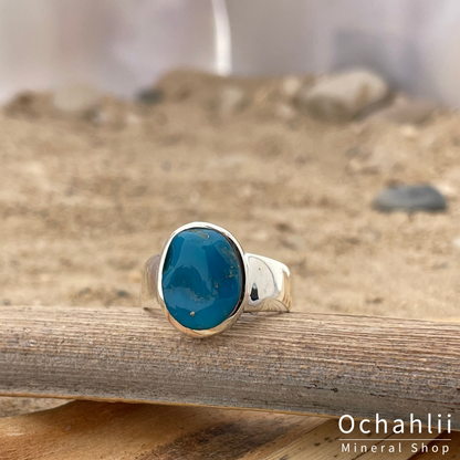 Bague en argent La Belle au Bois Dormant Turquoise taille 55 