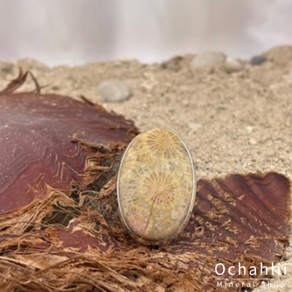 Bague en argent Corail Pétrifié taille 59 