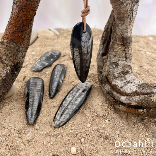 Orthoceras pierced pendant 